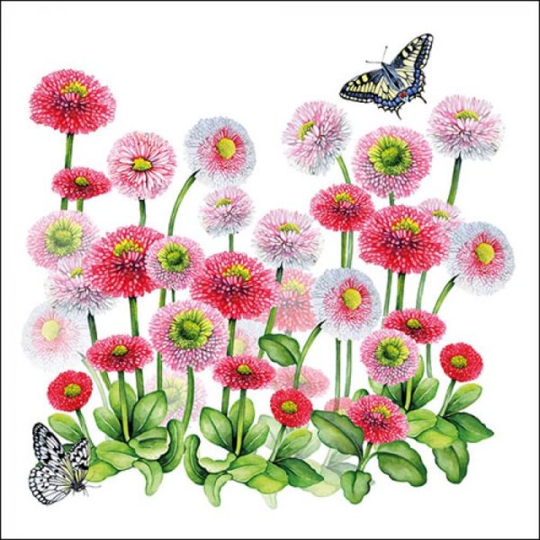 Guardanapo Bellis 33x33