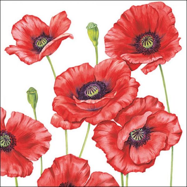 Guardanapo Romantic Poppy 33x33