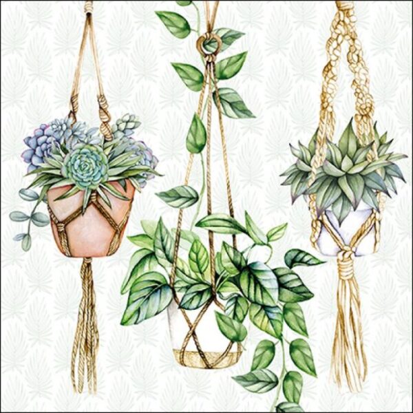 Guardanapo Hanging Plants 33x33