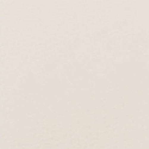 Cartolina Prisma Ivory 72x102 300gr. (10un.)