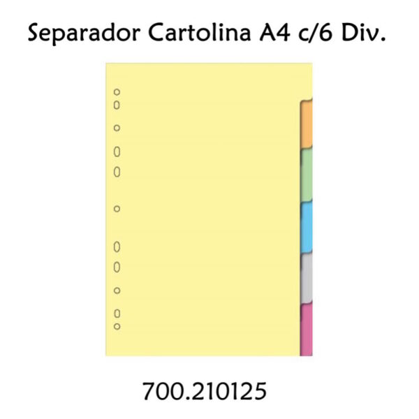 Separador Cartolina A4 c/ 6 Div.