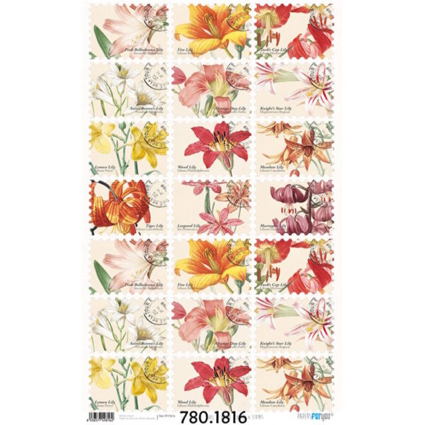Papel Arroz 54x33 Flowers and Cards
