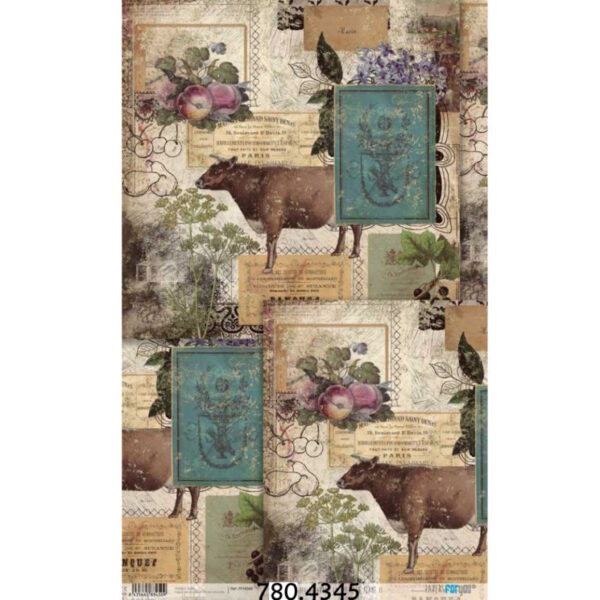 Papel Arroz 54x33 La Vie a La Freme II