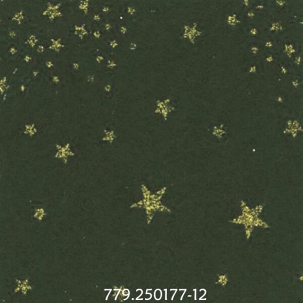 Feltro 30x40cm Glitter Stars Green