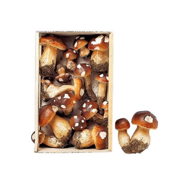 Cogumelos Sortidos 5-10cm x 14un.