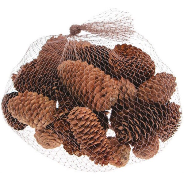 Pinhas Natural  5-9cm - 130gr