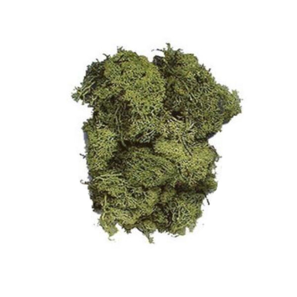 Musgo Verde Light 1000gr.