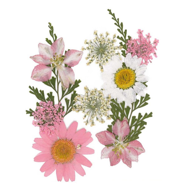 Flores Secas Prensadas Light Pink
