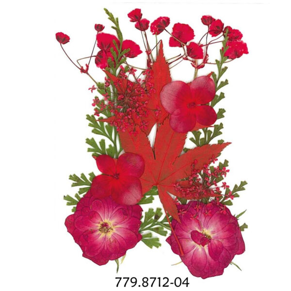 Flores Secas Prensadas Red